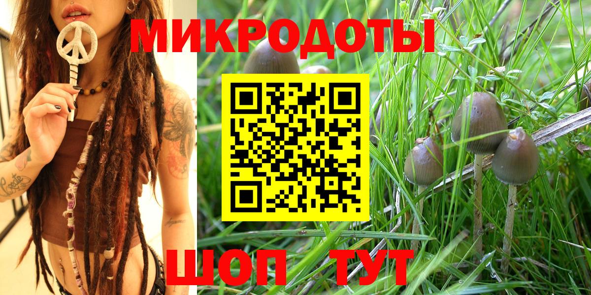 Псилоцибиновые грибы Magic Shrooms Каменка